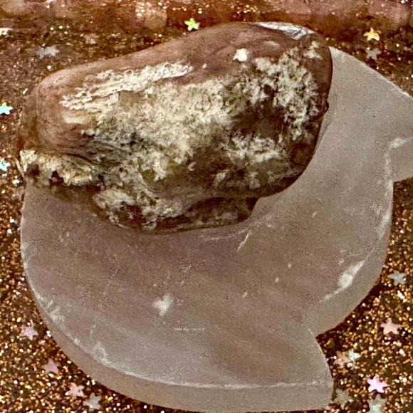 Petrified Wood - Picture 3 of 5